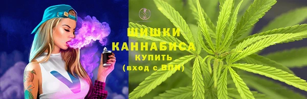 меф Вяземский