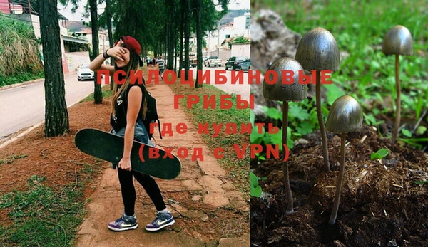 хмурый Вязьма