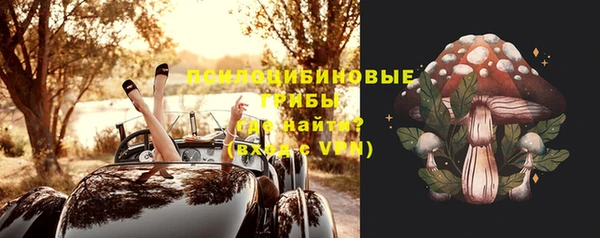 хмурый Вязьма
