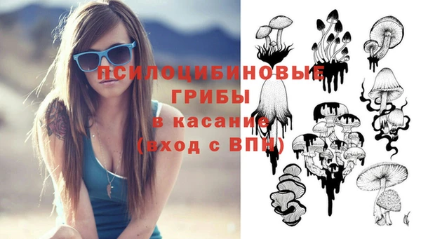 хмурый Вязьма