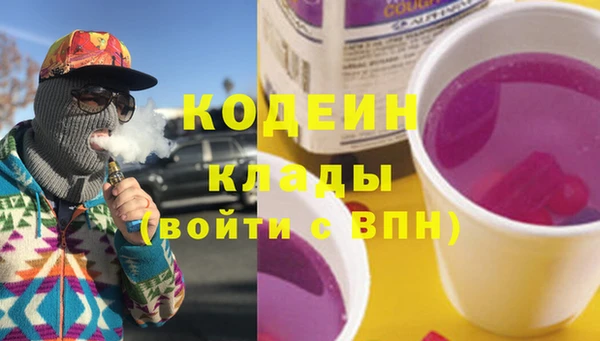 меф Вяземский