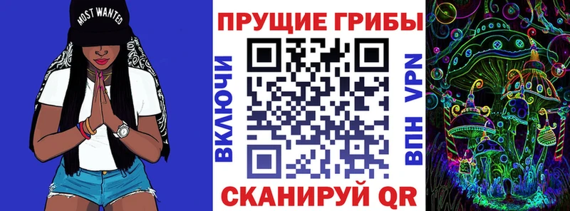 Псилоцибиновые грибы Psilocybe  купить наркоту  Славск 