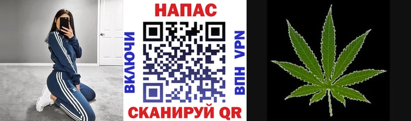 Шишки марихуана семена  KRAKEN как зайти  Славск 